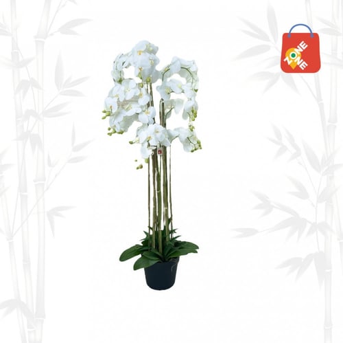 أوركيد 11 غصن لون أبيض