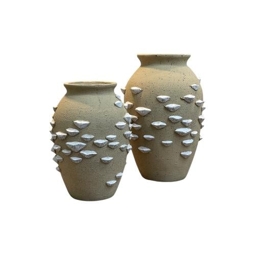 فازة بيج صدف