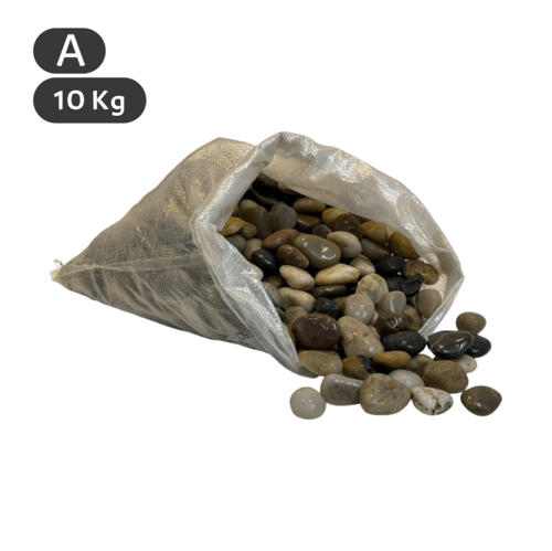 حصى مشكل ديكور نباتات