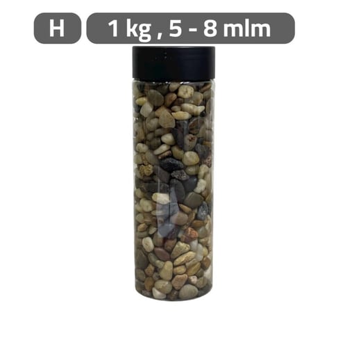 حصا اكسسوارات نباتات