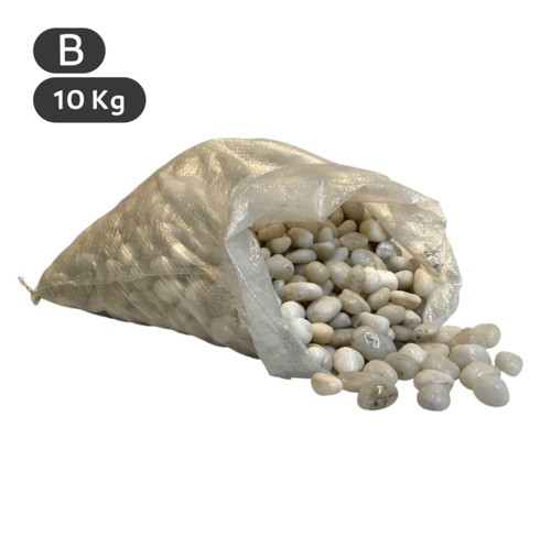 حصى مشكل ديكور نباتات