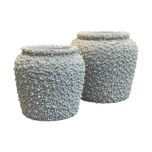 فازة ابيض صدف