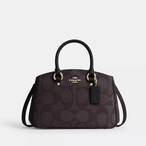 Savannah Small Carryall Bag In Signature Canvas