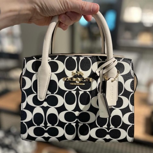 Andrea Carryall In Signature Canvas