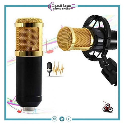 مايك بث استوديو حساس عالي الجودة/ماركة BORL / BM-8...