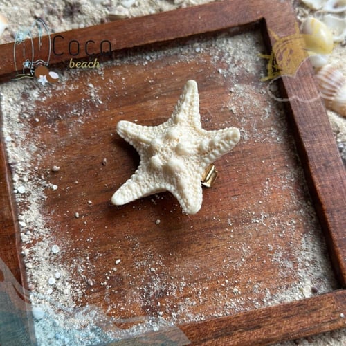 مشبك شعر نجمة