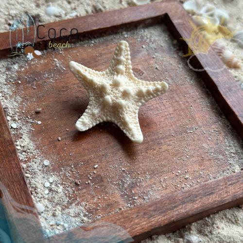 مشبك شعر نجمة