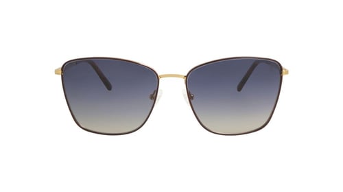 نظارة شمسية تروي - NP5304 TROY