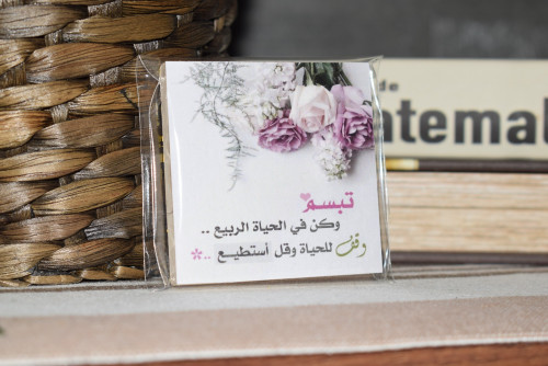 مغناطيس ثلاجة