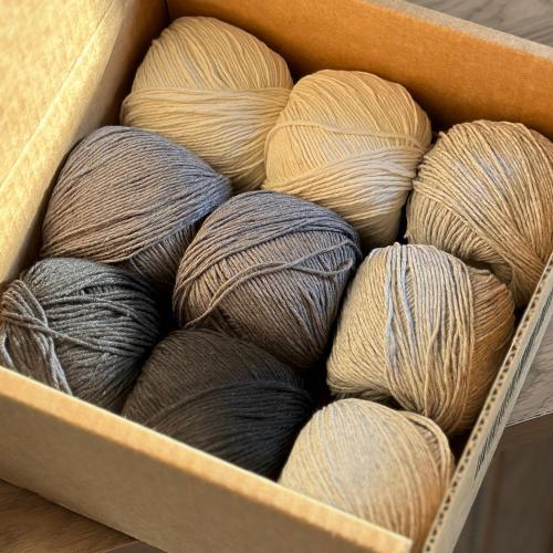 مجموعة خيوط من SENSY