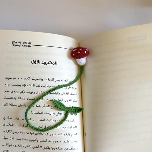 فاصل كتاب الفطر