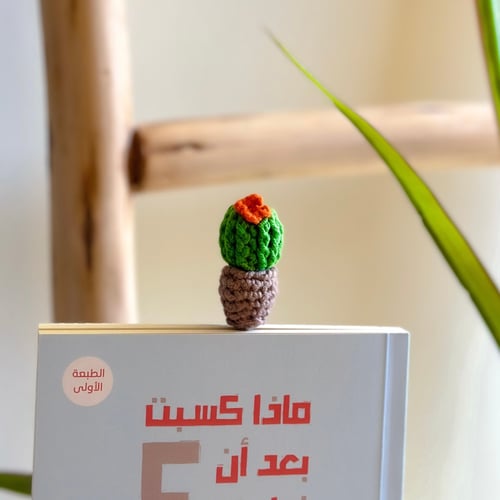 تعليقة صبار