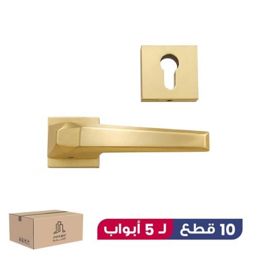 بكج 10 قطع مقبض باب مفصول لون ذهبي