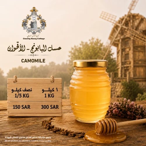 عسل البابونج - الاقحوان