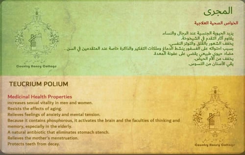 مجموعة الأعسال المميزة : سدر - طلح - مجرى - لبان