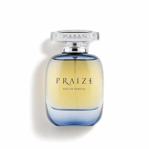 عطر بريز رجالي 100 مل