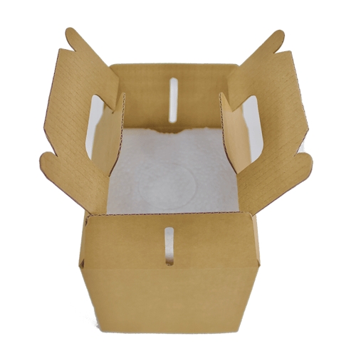 50 كرتون هدية علبة عسل سداسية 1 كليو