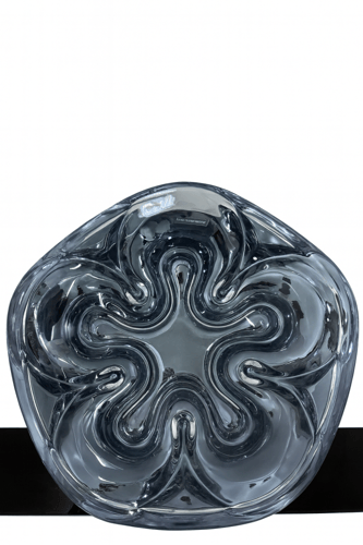 صحن تقديم شفاف كبير زجاجي – أناقة تعكس ذوقك في كل...