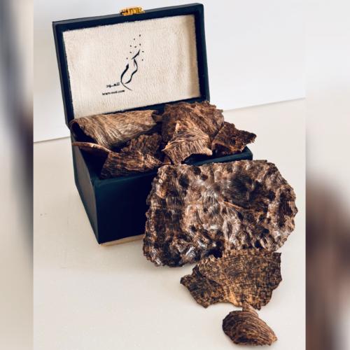 عود هاينان - غابات طبيعي