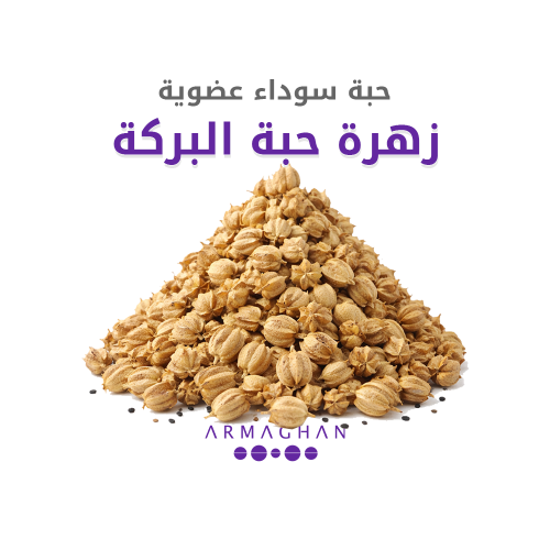زهرة حبة البركة