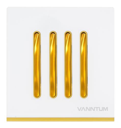 Four-leaf gold phantom key
