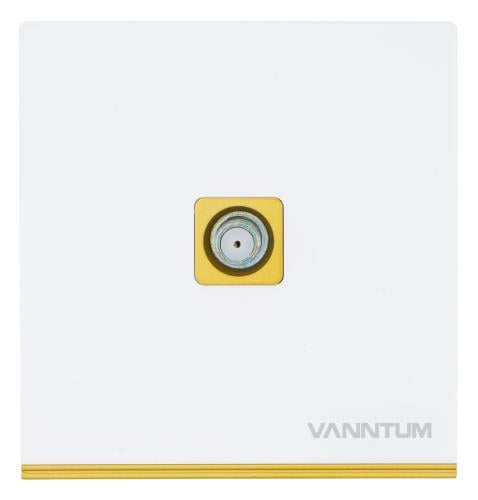 Dush Fuse Phantom-Gold