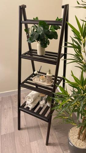 Shelves 01