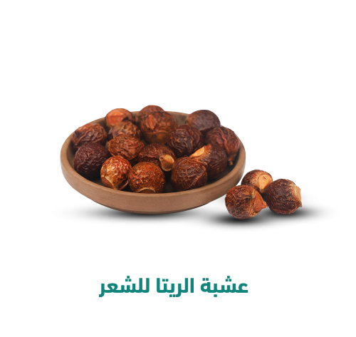 عشبه الريتا للشعر