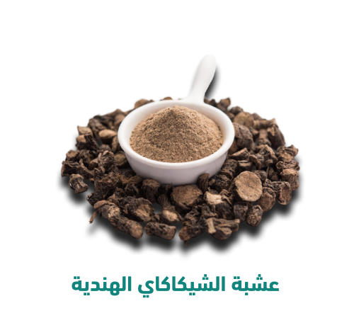 عشبة الشيكاكي الهندية