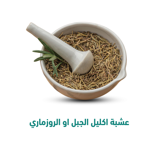 عشبة اكليل الجبل او الروزماري