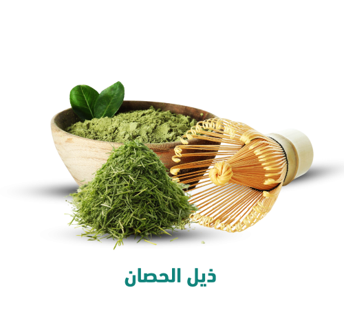 عشبة ذيل الحصان للشعر