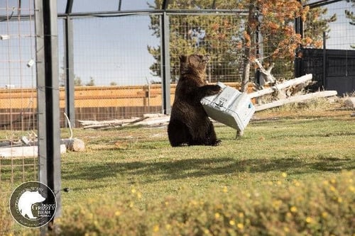 حافظة الأداء العالي 55 كوارت لايف تايم Q55