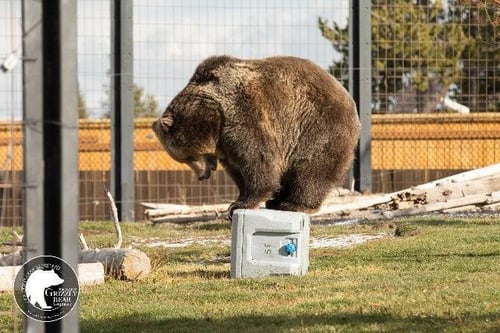 حافظة الأداء العالي 77 كوارت لايف تايم Q77