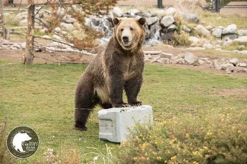 حافظة الأداء العالي 77 كوارت لايف تايم Q77