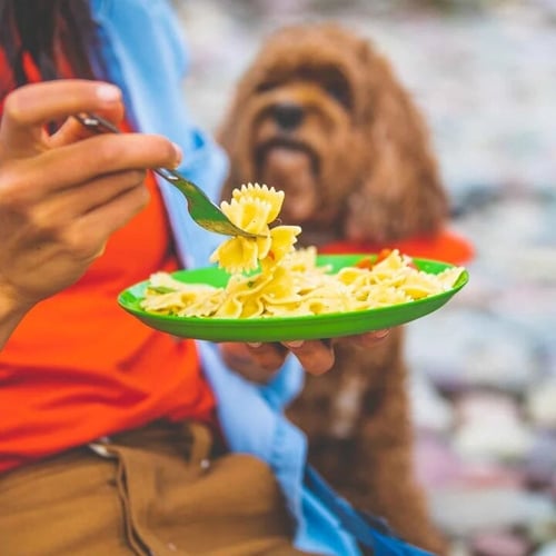 صحن دائري كاسكاديان مقاس 24 سم GSI