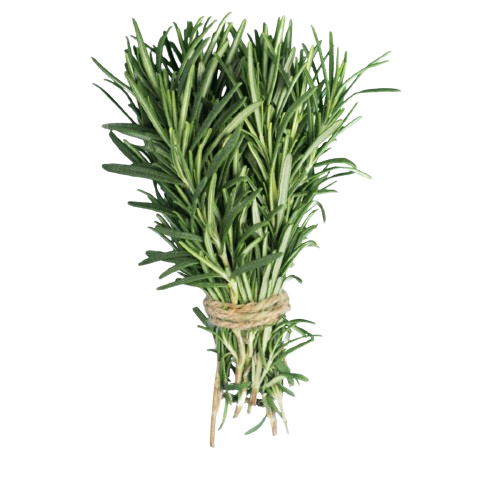 اكليل الجبل روز ماري ربطة 100جرام