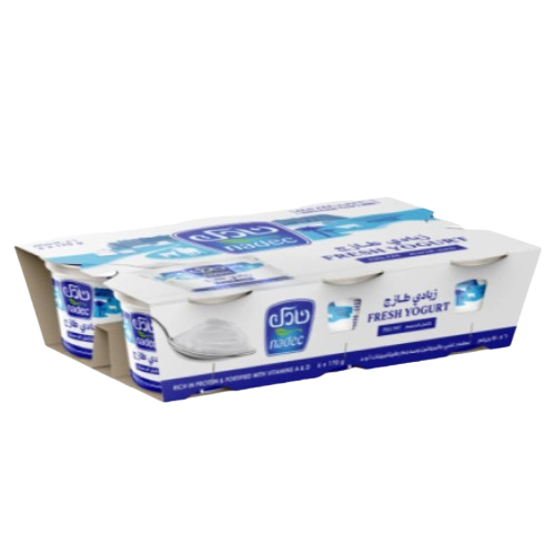 زبادي نادك كامل الدسم 6*170جم