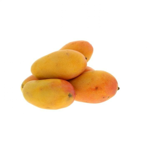 مانجو بلدي