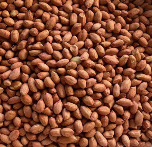 فول سوداني هندي كجم