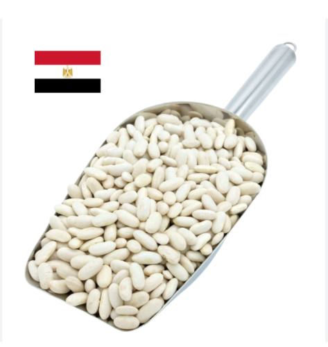 فاصوليا بيضاء مصري حب 1 كيلو