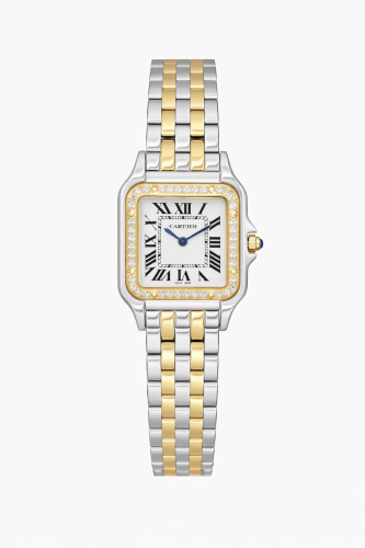 Cartier Mix with Diamond