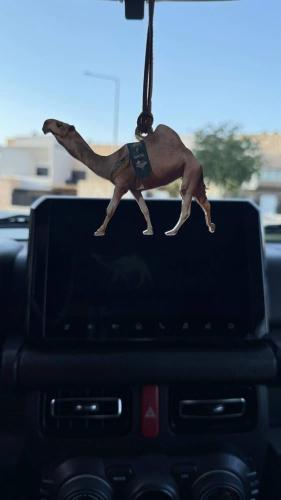 تعليقة اكريليك شكل الجمل