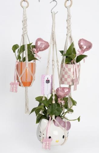 Macrame Plant Hanger