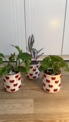 Plant Pot with a vase and red bows