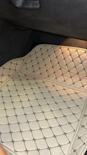 دعاسات رينو دايموند الاقتصادية