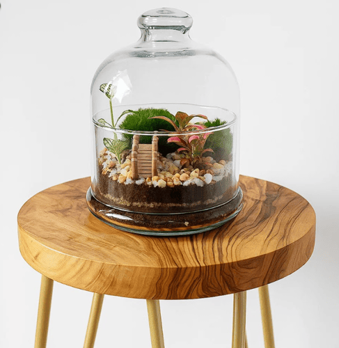 حديقة تحت القبة الزجاجية