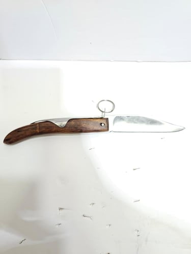 ردادي باكستاني