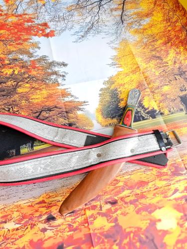 شفره عايدي باكستاني