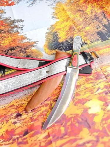 شفره عايدي باكستاني