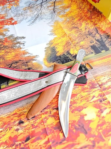 شفره عايدي باكستاني